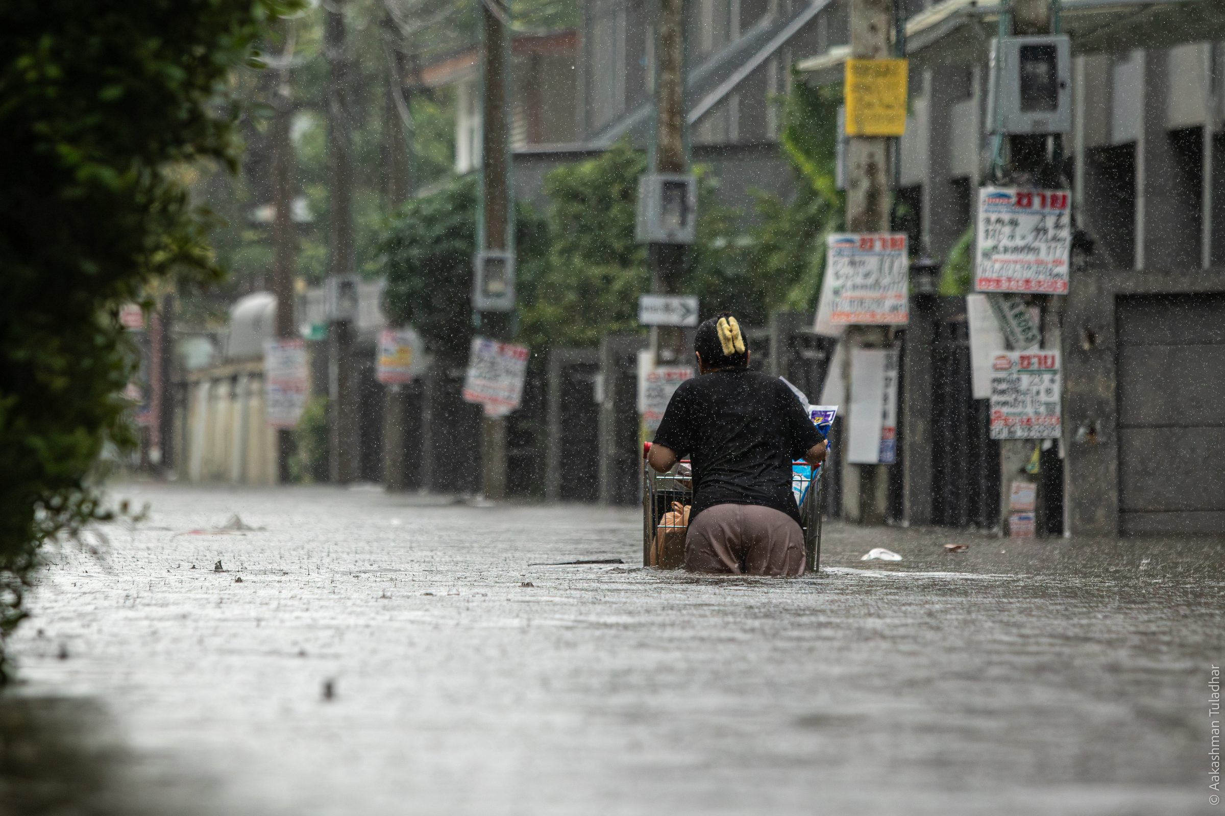 Woman pushing a shopping cart through floodwater in heavy rain